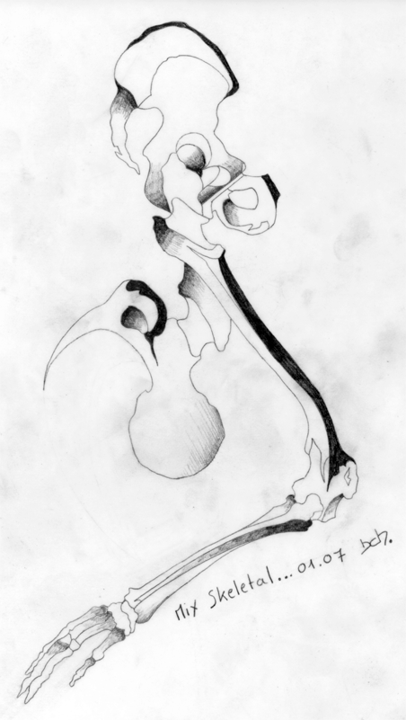 01.gif