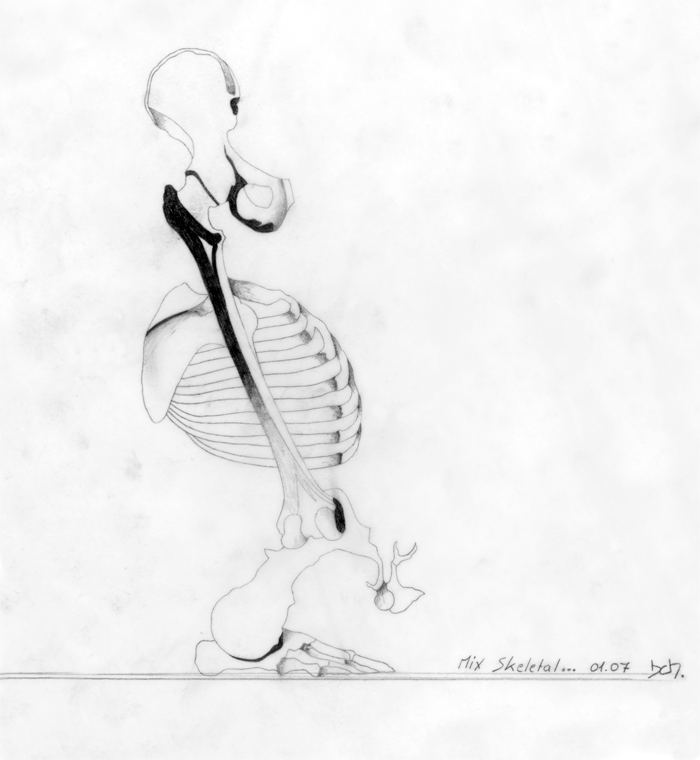 02.gif