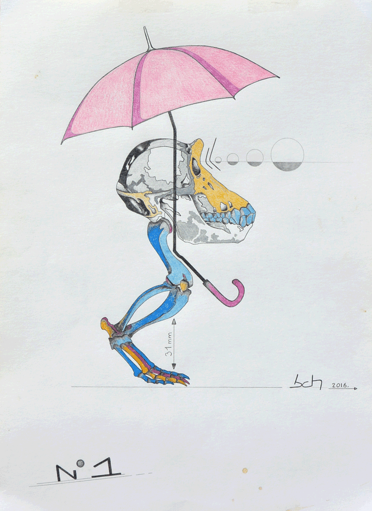image.gif
