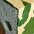18a_eco