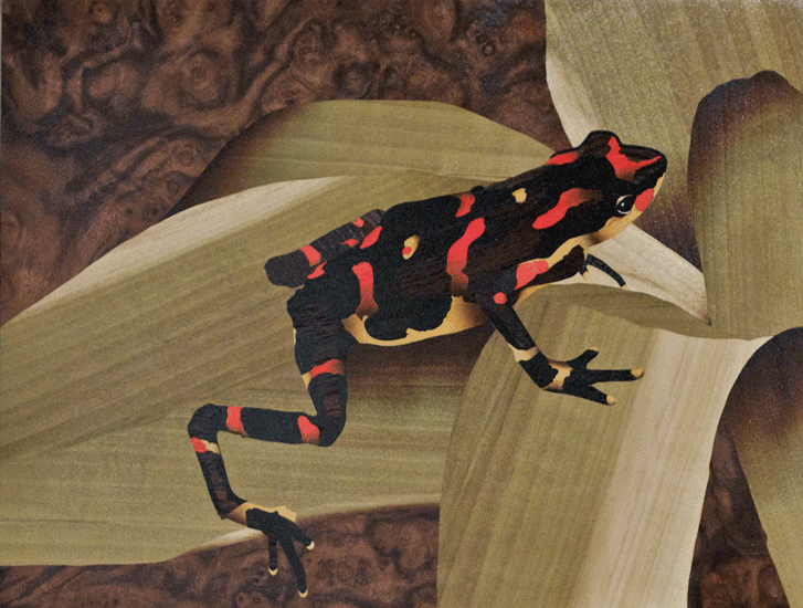 image.gif