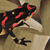 19_grenouille