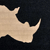 20_rhinoceros