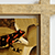 24_grenouille