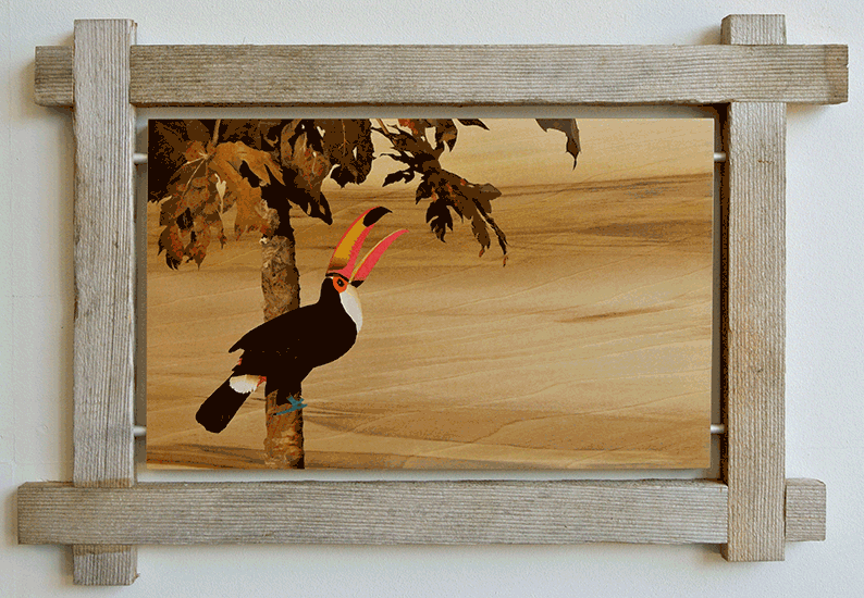 image.gif
