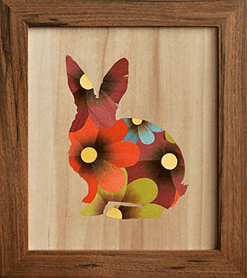 image.gif