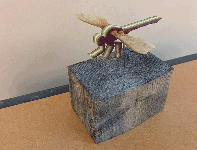 image.gif