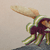 48_Libellule