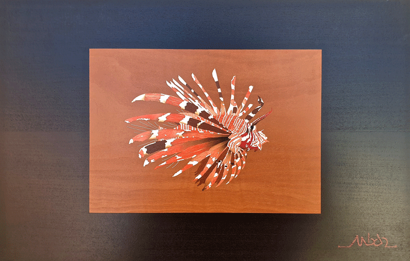 image.gif